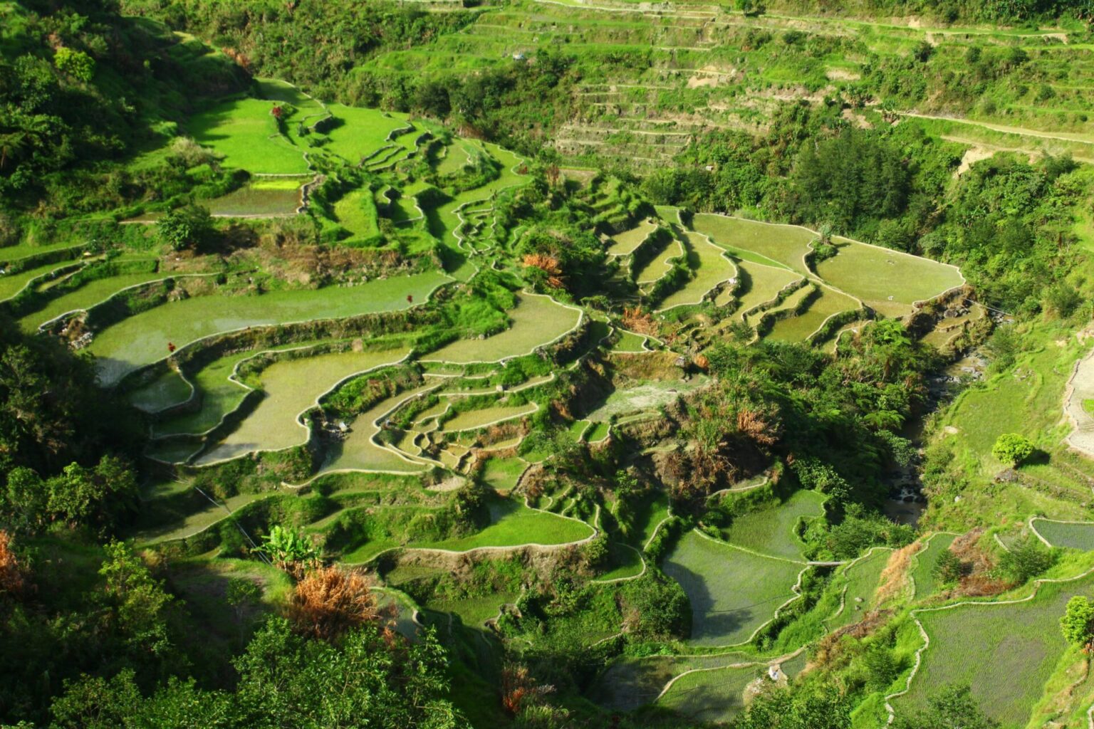 Banaue