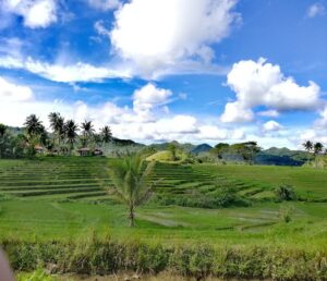 Cadapdapan Rice Terraces